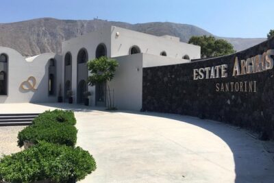 Santorini 3-Winery Tour with 12 Wine Tastings and Oia Sunset - Artemis Karamolegos Winery: family roots, rare varieties, and a full hour of tastings