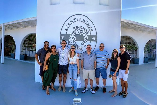 Santorini Half Day Wine Tasting & Winery Tour with Pickup - Key tour highlights at a glance
