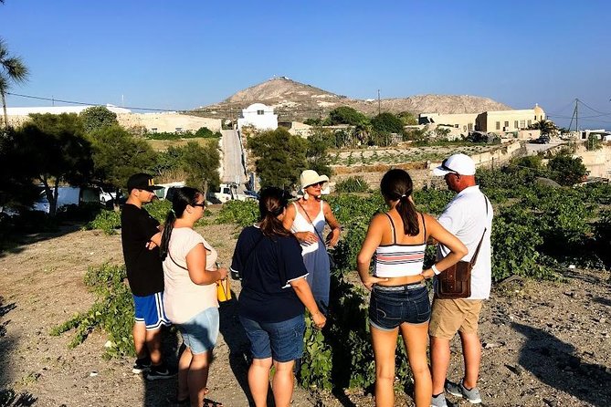 Santorini Half Day Wine Tasting & Winery Tour with Pickup - Artemis Karamolegos Winery: modern gear in volcanic vineyards