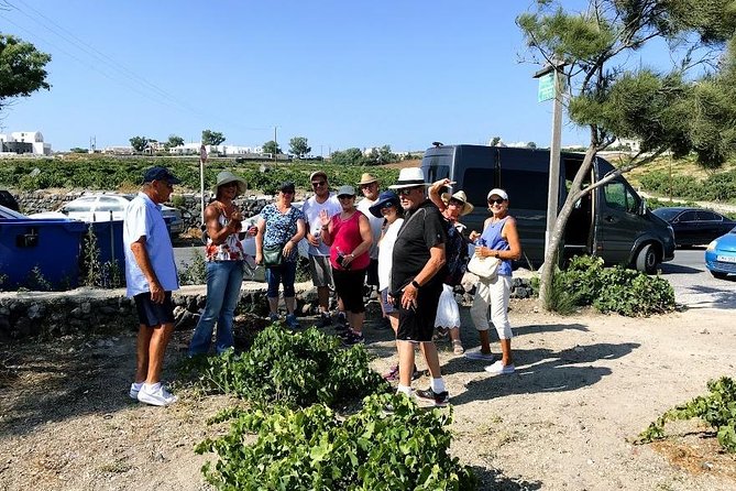 Santorini Half Day Wine Tasting & Winery Tour with Pickup - Anhydrous Cellar Door in Fira: the soil story behind the glass