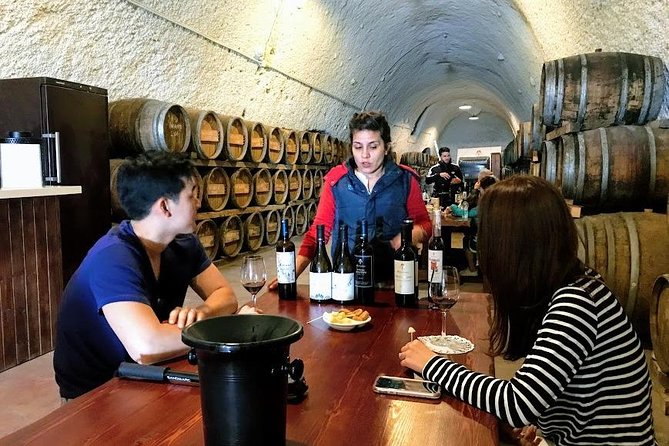 Santorini Half Day Wine Tasting & Winery Tour with Pickup - What’s included: food pairings and a 10–12 wine mini flight