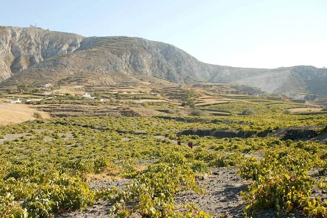 Santorini: Must-See & Winery Visit Private Tour - Private pickup, A/C comfort, and a guide who makes sense of Santorini