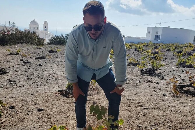 Santorini: Must-See & Winery Visit Private Tour - Price and value: what your $265.11 per person is buying