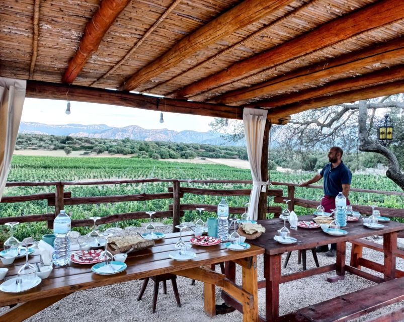 Sardinia: Dorgali Winery Tour with Tasting and Local Guide - Key highlights to know before you go