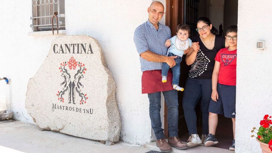 Sardinia: Dorgali Winery Tour with Tasting and Local Guide - Tips to make the most of it
