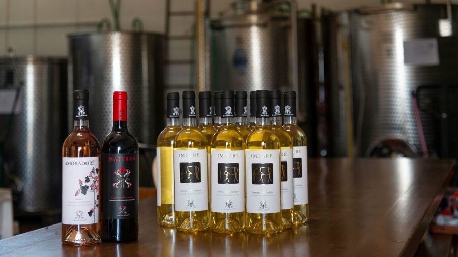 Sardinia: Dorgali Winery Tour with Tasting and Local Guide - Price and value: why $66 can make sense