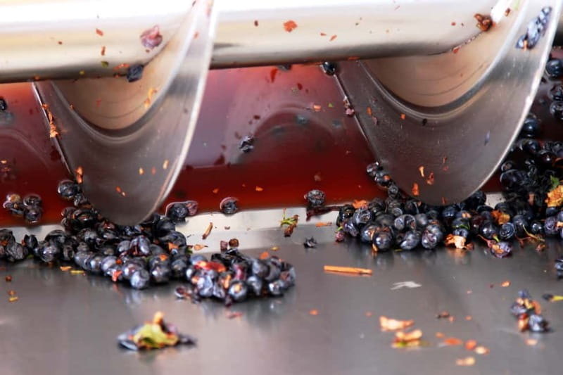 Sardinia: Winery Tour and Wine Tasting Experience - The 1.5-Hour Guided Cellar Tour: What You See and Why It Works