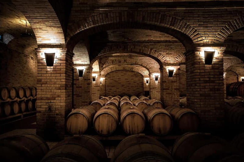 Sardinia: Winery Tour and Wine Tasting Experience - Museum Stop and Barrel Cellar: Learning Without the Lecture