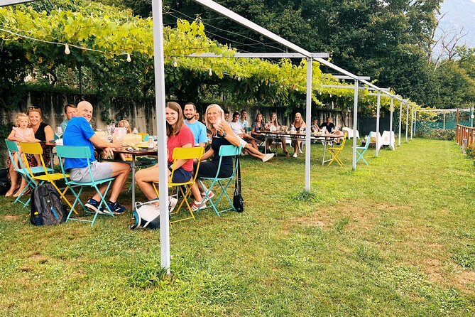 Savor Ossola Wines & Local Treats in a Scenic Vineyard - Key highlights I’d plan around