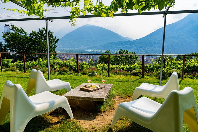 Savor Ossola Wines & Local Treats in a Scenic Vineyard - The itinerary in plain language: what happens, and when it matters