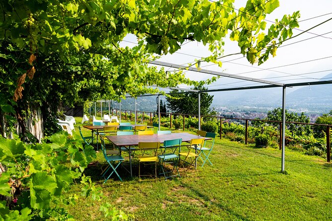 Savor Ossola Wines & Local Treats in a Scenic Vineyard - Who this suits best (and who might want a different plan)