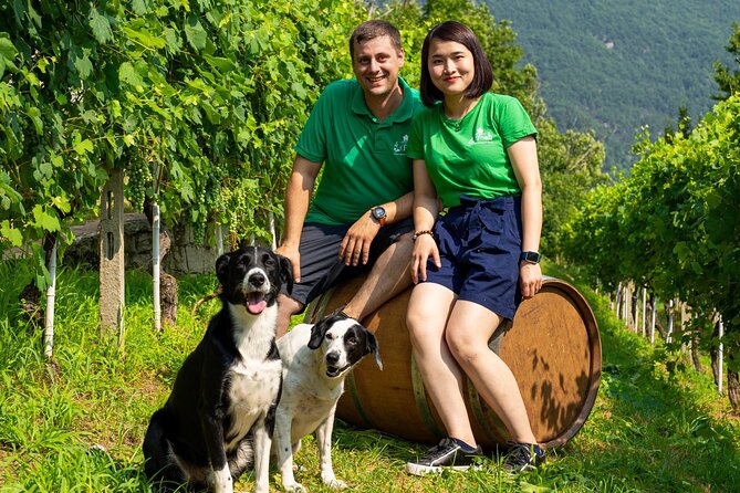 Savor Ossola Wines & Local Treats in a Scenic Vineyard - Logistics that actually matter on this outing