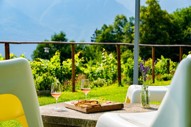 Savor Ossola Wines & Local Treats in a Scenic Vineyard - Where the tasting takes place: Azienda Vitivinicola Edoardo Patrone