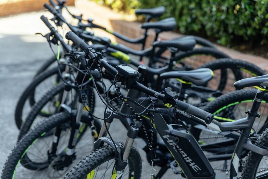 Scenic E-Bike Ride with Vineyard Wine & Meal - Naples’ Bay, but with wheels and wind: the ride you actually want