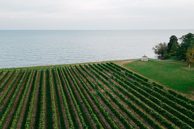 Seated Tasting Experience at Konzelmann Winery - How the Flight Works: Pre-Selected vs Build-Your-Own