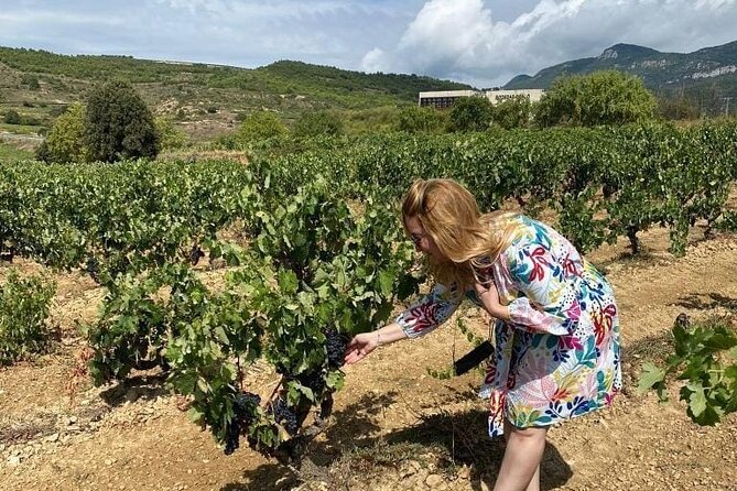 Secret Rioja: Exclusive Winery Access and Tasting Masterclass - Rioja’s Vine-Scented Drive: Getting Oriented Fast