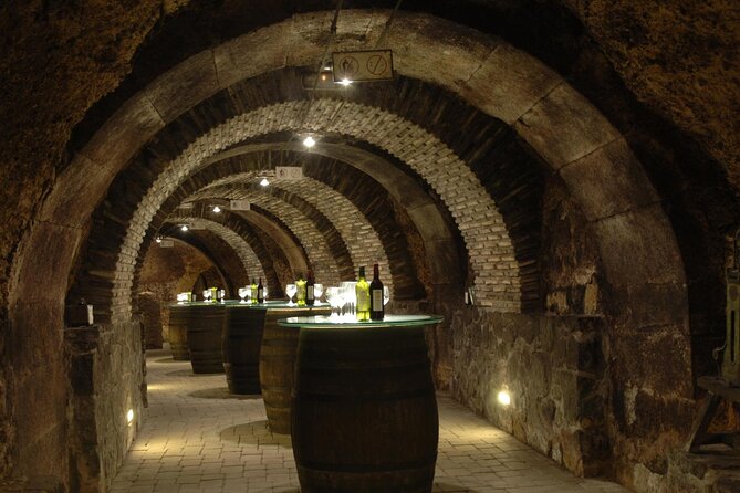 Secret Rioja: Exclusive Winery Access and Tasting Masterclass - Transport and Timing: Why 8–9 Hours Doesn’t Feel Too Long