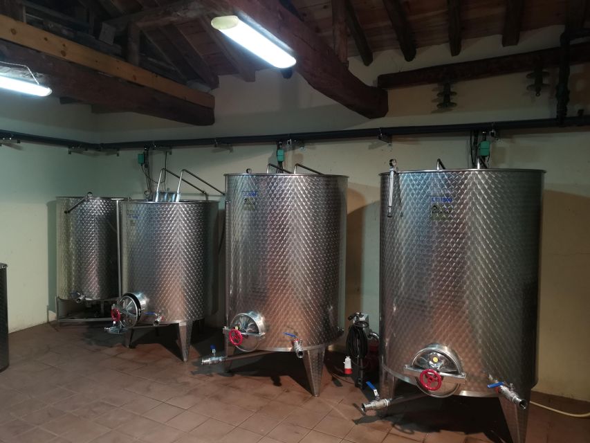 Segovia: Winery Tour with Wine Tasting - Navas de Oro Feels Like the Real Side of Segovia