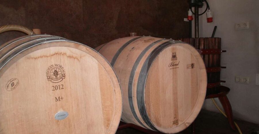 Segovia: Winery Tour with Wine Tasting - The 1-Hour Guided Winery Tour: What You’ll Actually Learn