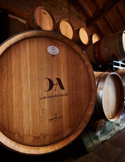 Segovia: Winery Tour with Wine Tasting - Meeting at Las Dos Antiguas and Solving the Transport Problem