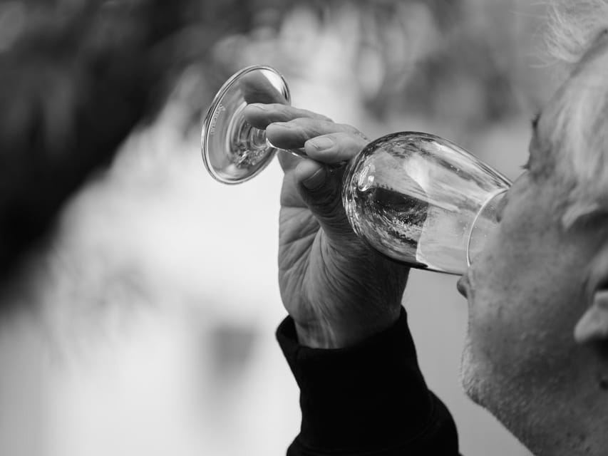 Segovia: Winery Tour with Wine Tasting - Should You Book This Tour?