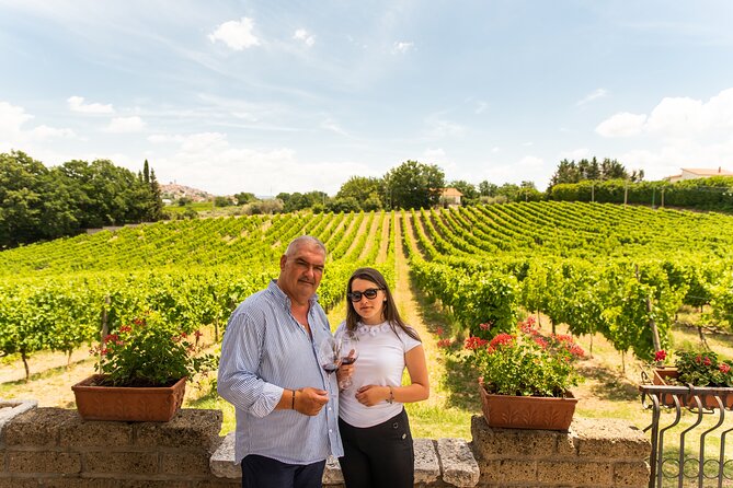 Sella delle Spine Taurasi: Tasting, Vineyard and Cellar Tour - Key highlights you’ll care about