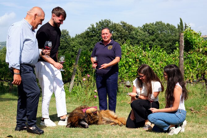 Sella delle Spine Taurasi: Tasting, Vineyard and Cellar Tour - Who should book this Taurasi wine and castle experience