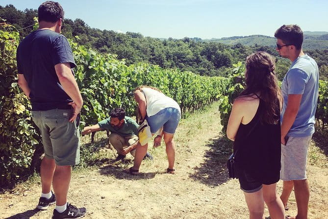 Semi-Private Chianti Wine Tour with Dinner in Tuscany Vineyard - The vineyard dinner: Tuscan food, estate wines, and the real feel of Chianti
