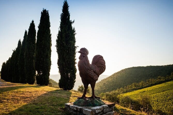Semi-Private Chianti Wine Tour with Dinner in Tuscany Vineyard - Timing, pacing, and what to wear (so the day feels easy)