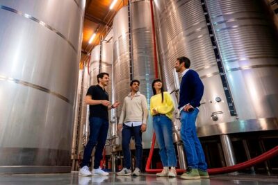 Setúbal: Winery & Fish Market Tasting Tour from Lisbon - Starting in Lisbon: meeting point, timing, and the bridge moment
