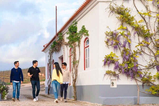 Setúbal: Winery & Fish Market Tasting Tour from Lisbon - São Filipe Castle: Capela Joanina and the Setúbal Bay view