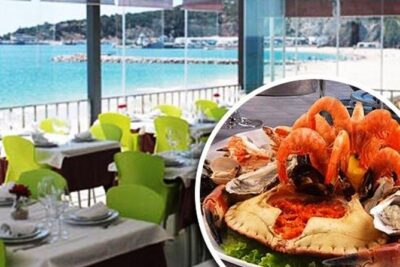 Setubal Winery Private Tour including Lunch at Sesimbra Beach - Getting There: Pickup, Timing, and How the 8 Hours Actually Feel
