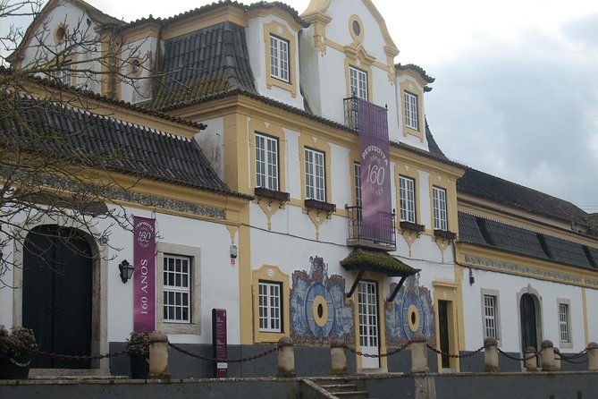 Setubal Winery Private Tour including Lunch at Sesimbra Beach - Small-Group Comfort: Up to 15 People and a Real Guide, Not Just a Driver
