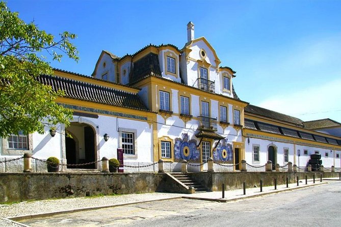 Setubal Winery Private Tour including Lunch at Sesimbra Beach - Logistics and Practical Tips That Save You Headaches