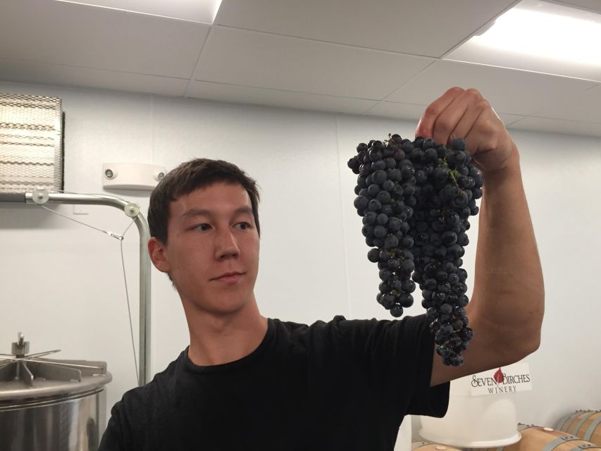 Seven Birches Winery - Meet the Winemakers Winery Tour - What to wear and how to plan your tasting day