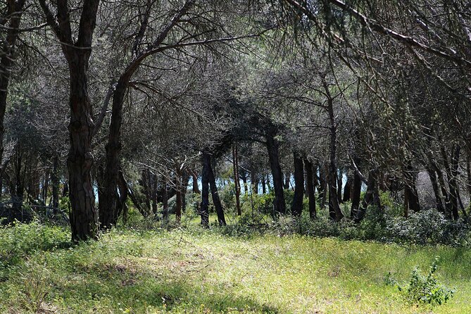 Seven Hanging Valleys Expedition with Lunch in the Vineyard - Who should book this tour?