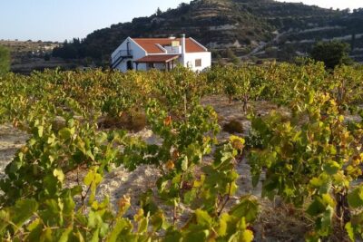 Shared Monolithos Boutique Winery Tour - Your 6-wine tasting in the private room