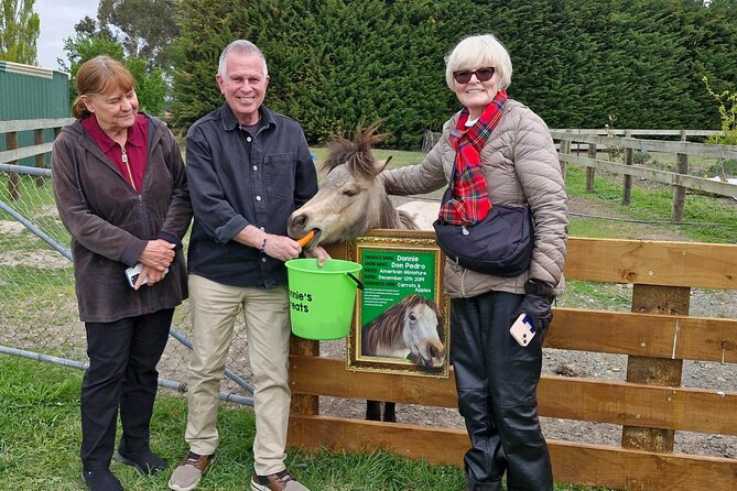 Sheep Farm Day Trip from Christchurch + Lunch and Winery visit. - Price and logistics: what $183.07 buys you