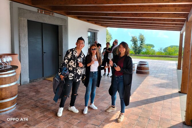 Shore excursion Naples city tour, Pompeii & Winery Cantina del Vesuvio - Pompeii Archaeological Park: how the 2 hours really plays out