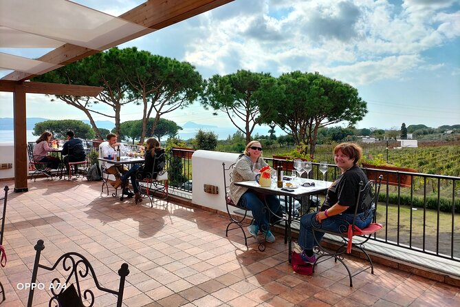 Shore excursion Naples city tour, Pompeii & Winery Cantina del Vesuvio - The Naples panoramic drive: Castel Sant’Elmo, Posillipo, and via Partenope