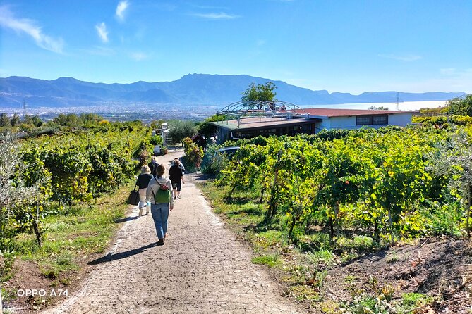 Shore excursion Naples city tour, Pompeii & Winery Cantina del Vesuvio - Price and value: what’s included vs. what costs extra