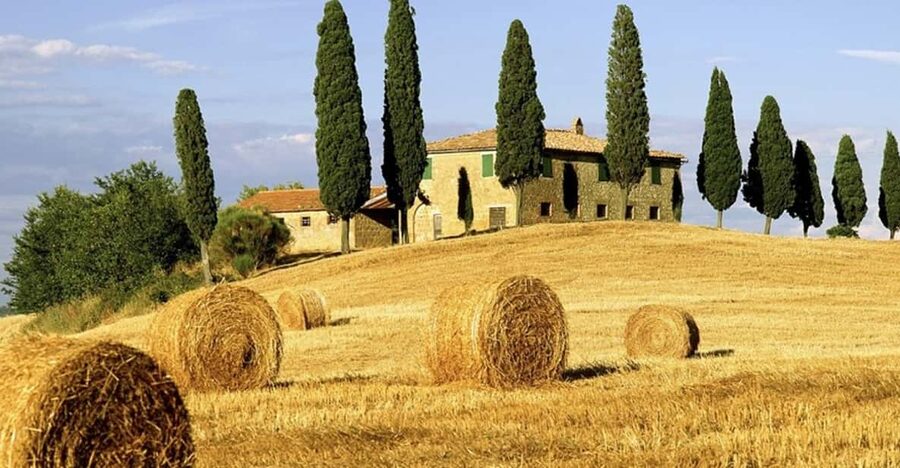 Shore Trip from La Spezia: Pisa,Lucca,lunch & tasting Winery - Chianti Winery Tour and Tasting: The Lunch You’ll Actually Remember