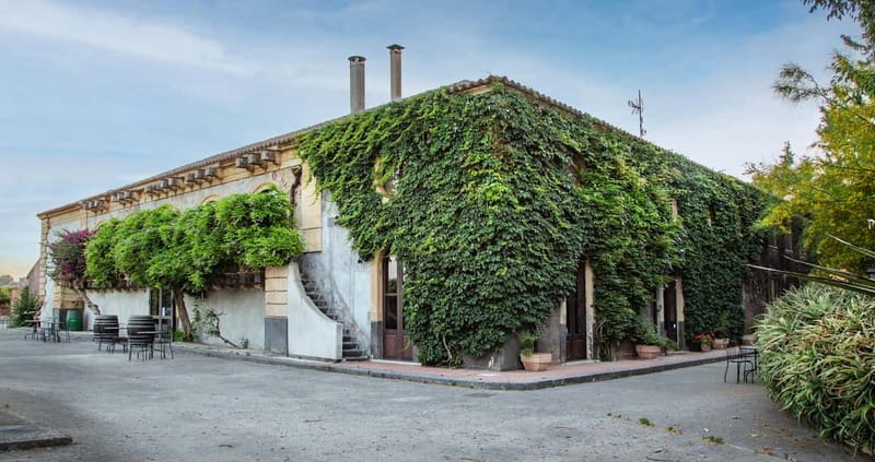 Sicilian Soul: Winery Tour, Wine & Food Tasting in Catania - Key Things I’d Prioritize Before You Go