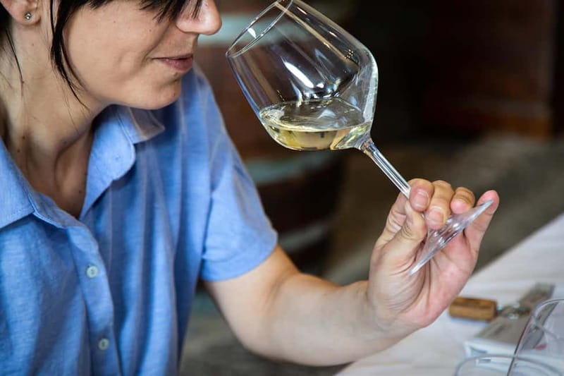 Sicilian Soul: Winery Tour, Wine & Food Tasting in Catania - Who This Tour Suits Best (and Who Might Feel Restless)