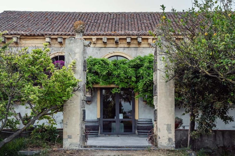 Sicilian Soul: Winery Tour, Wine & Food Tasting in Catania - Catania’s Sicilian Soul Starts in a Stone Palmento