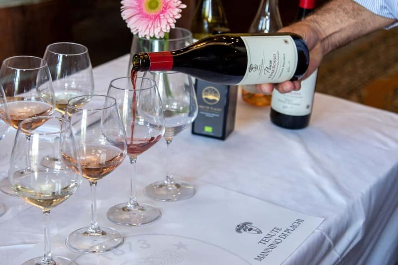 Sicilian Soul: Winery Tour, Wine & Food Tasting in Catania - Touring the Estate: Why the Palmento Visit Matters