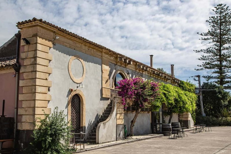 Sicilian Soul: Winery Tour, Wine & Food Tasting in Catania - The 1.5-Hour Plan: What Happens When You Arrive