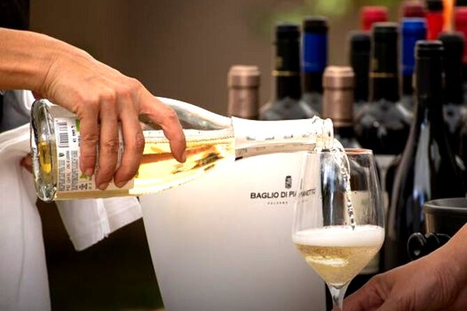 Sicilian Winery Tour with Wine Tasting from Palermo - Who guides this tour, and what you should look for during the visit