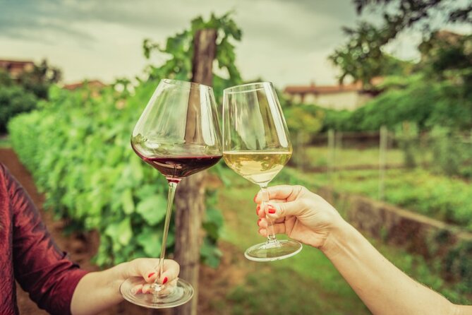 Sicilian Winery Tour with Wine Tasting from Palermo - Price and value: how $216.74 makes sense for a 4-hour, door-to-door wine day