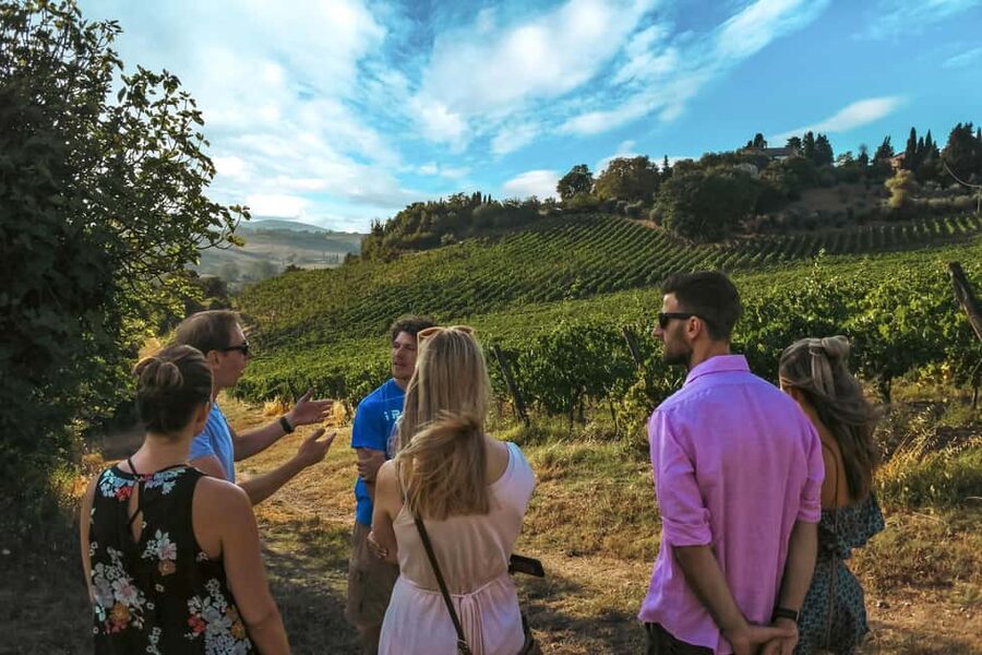 Siena: Organic Winery Tour and Wine Tasting - Why this organic winery tour makes Siena feel real